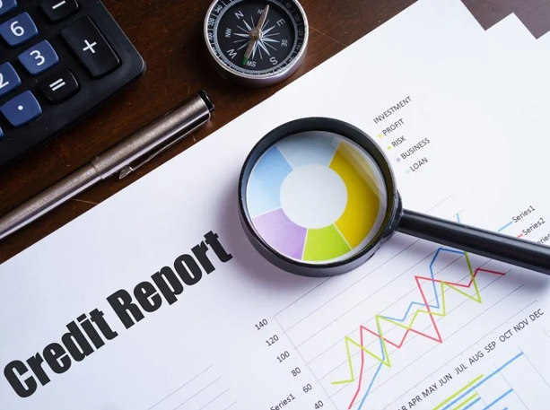 Credit Analysis Report Service Provider in Maharashtra, India